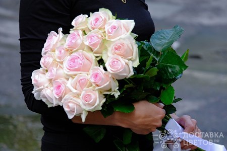 Букет из 19 розовых роз "Свит Ревайвл"